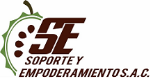 Soporte y Empoderamiento SAC